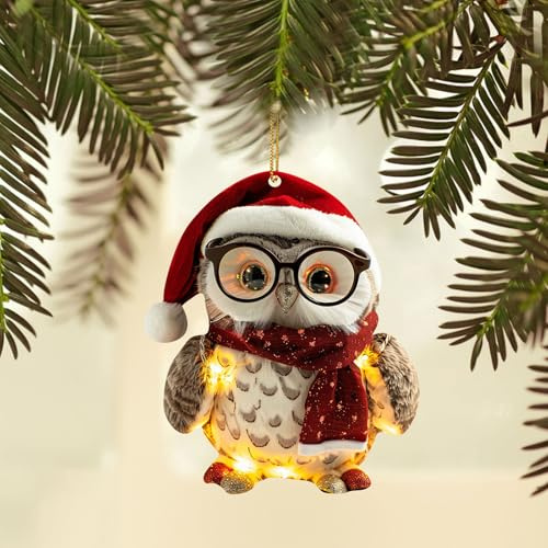 Niedlicher Eule Weihnachtsbaum Anhänger, Lustiger Christbaumschmuck, Weihnachten Acryl Tier Dekor Weihnachtsbaumschmuck 2D Anhänger Eule Waschbär Weihnachtsbaum Anhänger Weihnachtsdeko