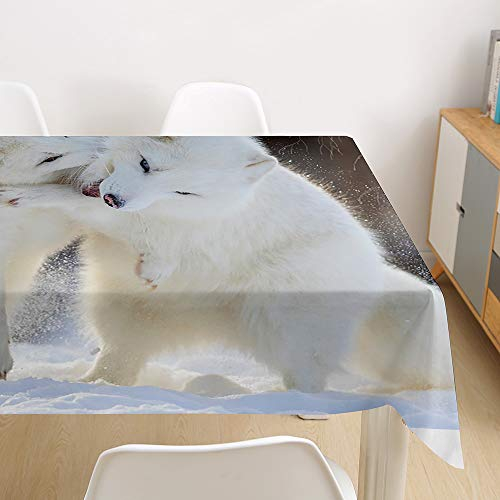 Morbuy Tischdecke Abwaschbar, 3D Fuchs Tischtuch Rechteckig Tischwäsche Gartentischdecke Outdoor Tischdekoration Wasserdicht Polyester Ölfest Pflegeleicht (60x60cm,Polarfuchs)