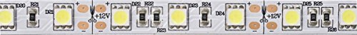 EVN LSTR2024305099 A, Leuchtmittel, Glas, 10 W, 2G7, schwarz, 7 x 8 x 10 cm