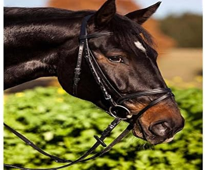 Kerbl 321743 Trensenzaum Standard Leder für Vollblut, braun