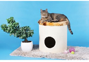 CLEVERCAT Wohntonne Mini Made in Germany