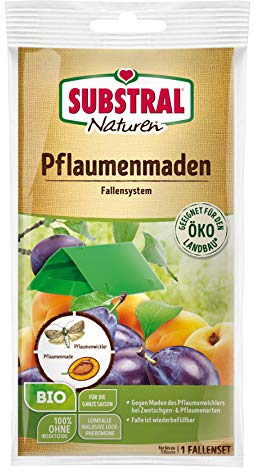 Substral Naturen Pflaumenmaden-Falle zum Abfangen der Pflaumenwicklermännchen, Klebefalle mit Lockstoff, 1 Set
