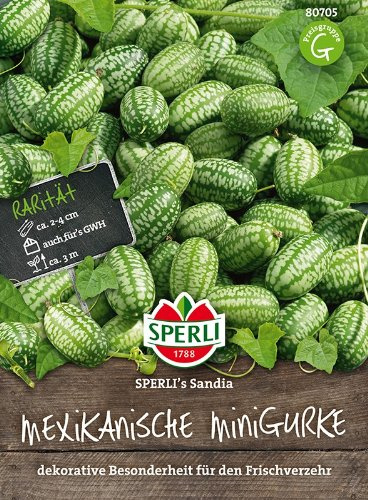 Mexikanische Minigurke Sperling's Sandia