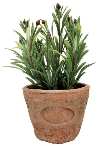 Esschert's Design AH011 Small Artificial Aged Terracotta Pot - Rosemary