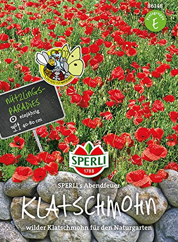 Wilder Klatschmohn Abendfeuer