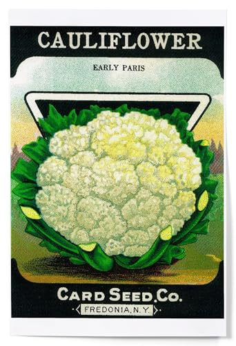 Lantern Press Cauliflower Seed Packet, 12x18 Inch Art Print, Home Decor