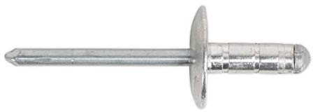 Sealey RM4819L 4.8 x 19 mm Aluminium Multi-Grip Rivet Large Flange, Pack of 200