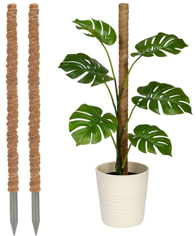 2 25 Moss Poles for Indoor Plants – Bendable Support Stakes for Monstera & Climbing Plants, Coco Coir Plant Poles for Potted Vines & Cheese Plant (2pc 25 Moss Poles)