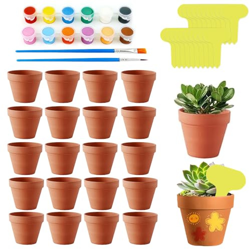RNPKZ 20 vasi in terracotta piccoli, 5 x 5,5 cm, piccoli vasi in terracotta con colori e pennelli, mini vasi in terracotta con foro di scarico per il fai da te per casa e ufficio