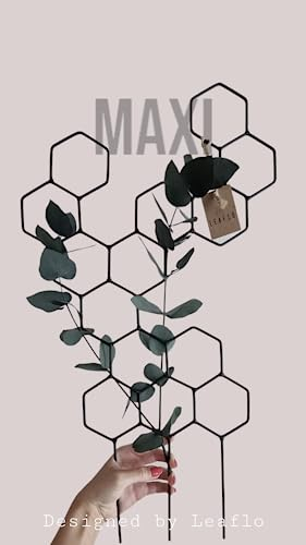 LEAFLO Maxi Rankhilfe für Zimmerpflanzen mittelgroß 63 cm | Metall - Pflanzenstütze - Rankgitter - Blumengitter | Innenraum Dekoration | Für Pflanzenliebhaber