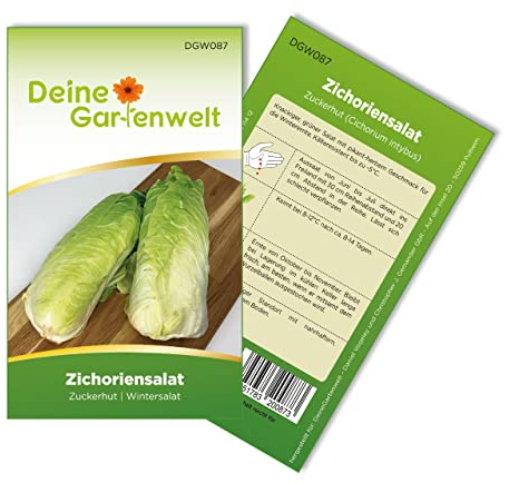 Zichoriensalat Zuckerhut Samen - Cichorium intybus - Salatsamen - Gemüsesamen - Saatgut für 150 Pflanzen