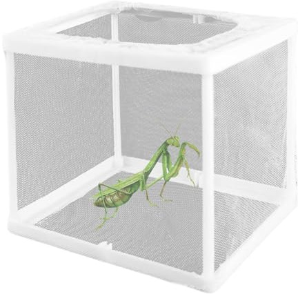 2 pezzi Habitat mantide religiosa, custodia per uova di mantide religiosa 6, 3x5, 9x5, 5, incubatrice per tarantole, ragni, lumache, grilli e formiche e altri piccoli animali