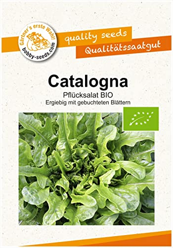 BIO-Salatsamen Catalogna Pflücksalat Portion