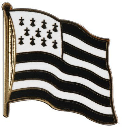 Digni Pin's (épinglette) Drapeau France Bretagne - 2 x 2 cm