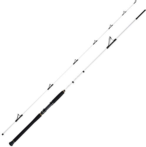 WFT Meeresrute Angelrute - Salzmeister Pollack Jigger 2,65m 20-90g Rute 2-Teilig
