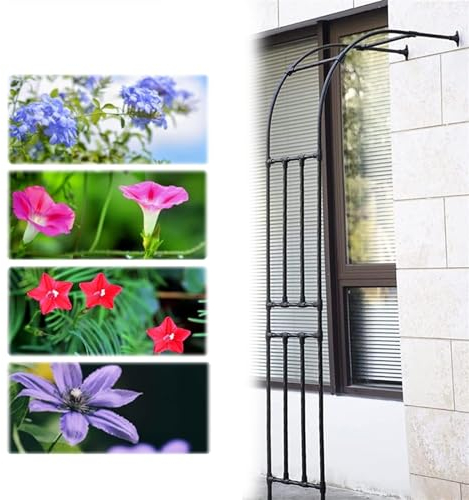 Schwarzer, An Der Wand Montierter Rosenbogen Rankgitter, Stabiler, Wasserdichter Gartenbogen Aus Metall, Halbrunder Gartenlaube, Für Kletterpflanzen, Rosen, Drinnen/draußen ( Color : Black , Size : 24