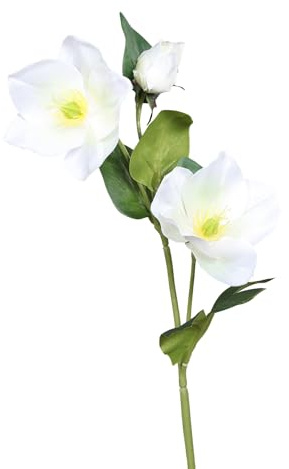 Seidenblumen Roß Christrosenzweig 35cm DP Kunstblumen künstliche Christrose Helleborus Schneerose Blumen Pflanzen (Weiß)