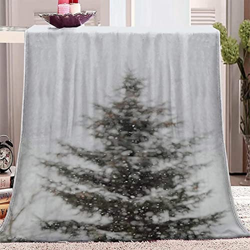 Kuscheldecke 80 x 150 cm 3D Eichhörnchen Flanell Fleecedecke, Weich Warm Flauschig Decke Anlage Wohndecke Decken für Sofadecke Couchdecke kuscheldecken für Kinder Erwachsene, Blanket