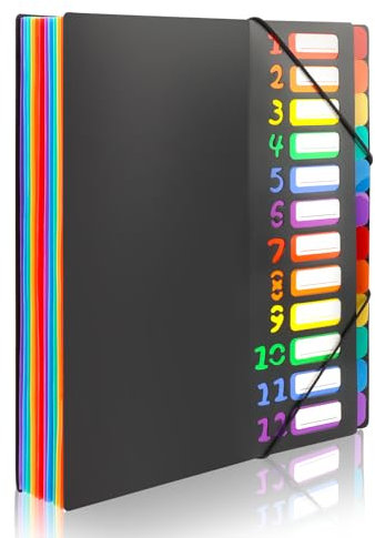 KILDOWS Dokumentenmappe A4, Ordnungsmappe mit Etiketten und 12 Fächern, PP Bunte Wasserdicht Fächermappe Pultordner für Schule Bürobedarf, 24 Taschen