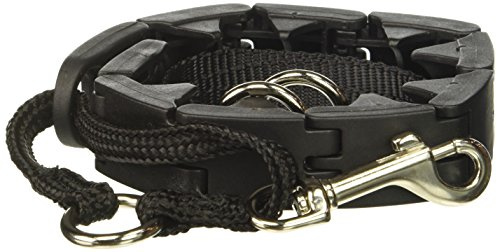 Star Mark Pro-Training Dog Collar, Large - 21