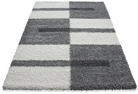 Ayyildiz Beau Tapis Shaggy, à Poils Longs, à Poils Longs, flokati 30 mm en différentes Couleurs et Tailles, carré Öko-Tex 100 Standard, Taille:280 x 370 cm, Couleur:Gris Clair