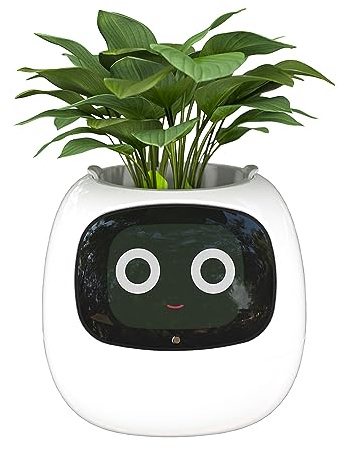 Masdio Smart Flowerpots, with Artificial Intelligence, Time Temperature Display, and Numerous Expressive Animations Based On The Environment, for Interior Decoration (White)