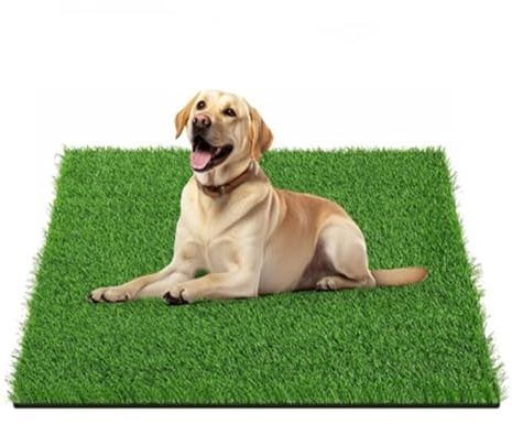 Hundetoilette, Künstliche Grasmatten, Waschbar Hunde Training Rasenmatte, Training Pee Pads für Kleine Grosser ältere Hunde (45 * 60 cm)