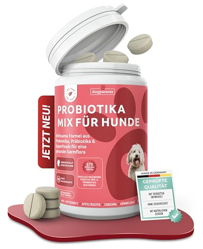 Prä & Probiotika Hund [MADE IN GERMANY, ZUCKERFREI & LABORGEPRÜFT] Darmkur mit 670 Mrd. KBE & Präbiotika – stärkt Darmflora & Verdauung – ideal nach Wurmkur, Grasfressen & Sodbrennen (180g (1er Pack))