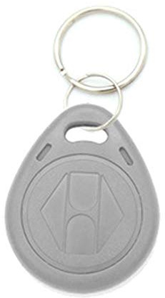 BE-Tool Schlüsselanhänger, 125 khz, RFID-Karten, Schlüsselring (wiederbeschreibbar/statisch) 10 Stück pro Packung, grau
