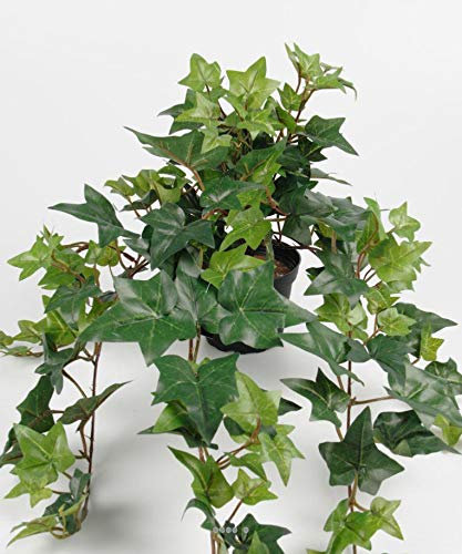 Artificielles.com - Artificial ivy Green falling L 60 cm in pot 9 dense branches H 20 cm