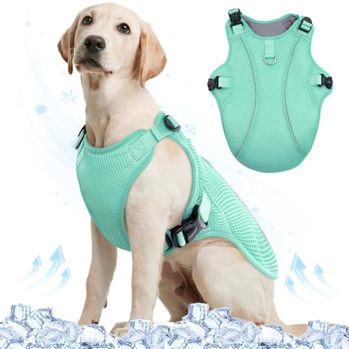 Kuoser Kühlweste für Hunde, atmungsaktiv, reflektierend, Grün, S-XL