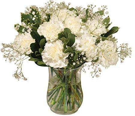 Sendabunch White Carnation Bouquet, 18 Fresh Stems | Luxury Flowers with Greenery and a Gift Message Card