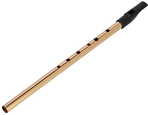 Tomotato Irish Whistle D Whistle Ireland Flute Whistle 6 Löcher Tragbare Flöte D Irish Tin Whistle Goldflöte für Anfänger Kinder Erwachsene