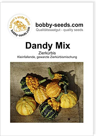 Dandy Mix Zierkürbis von Bobby-Seeds, Portion