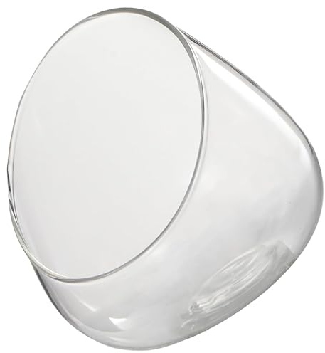 Milisten Schräges Terrarium Glasflasche Mikrolandschaft Pflanzenterrarium Transparent Kompakt Langlebig Für Selbstgemacht Sukkulenten Pflanzen Wohnzimmer Garten