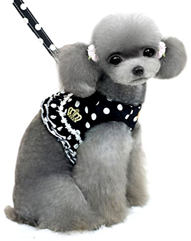 smalllee_lucky_store Kleiner Hund Katze Sweet Dots Muster Weste Geschirr Leine Set Mesh Gepolsterte Leine schwarz S