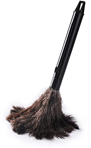 JAWSEU Struzzo Pulizia Piuma Duster, Piumino per spolverare in Piume di Struzzo Riutilizzabile Lavabile a Mano, Piume Morbido Spolverino per Ufficio Soggiorno di Casa Libreria Tastiera