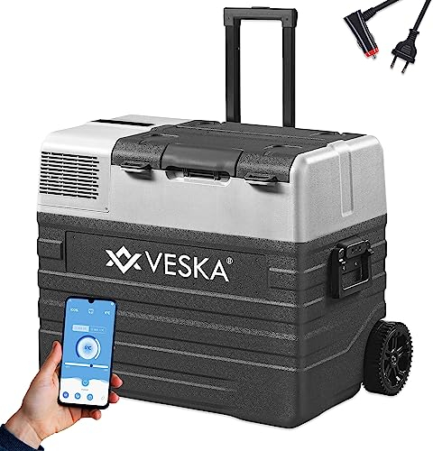 Kompressor Kühlbox elektrisch, Gefriertruhe mit APP-Steuerung, USB-Anschluss, 12/24V, 230V, Räder, transportabler Kühlschrank, Kühltruhe, Gefrierbox bis -20 °C für Auto, LKW, Boot (52L - anthrazit)