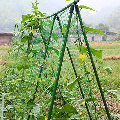 Malla de soporte para plantas trepadoras, red de enrejado para plantas de jardín, malla de nailon para jardín para guisantes dulces, tomate y pepino