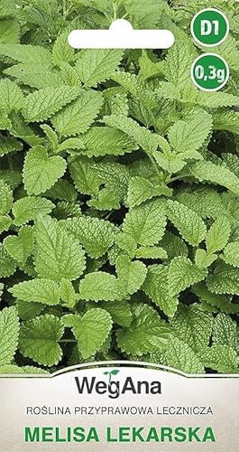WegAna Zitronenmelisse Samen 0,3g Melissa Officinalis Melisse Heilpflanzen Robuste Gemüsesamen Gemüse Samen Anzucht Saatgut Küchenkräuter Balkon & Garten Kräuter
