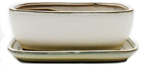 exotenherz Bonsai-Schale mit Unterteller Gr. 4 - Hellbeige - rechteckig - Modell GB5 - L 26cm - B 20cm - H 9cm