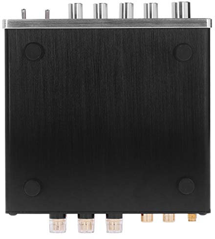 100W DC12V 24V Amplificatore Digitale HI FI Stereo Audio AUTO AMP AMP Stereo Interfaccia Home Music Player Alluminio