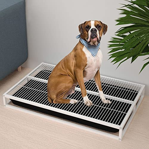 Stabiler Töpfchenhalter für Hunde – großes Trainingstablett für den Innen- und Außenbereich, perfekt für Welpentoilette & Einbruch in Wohnungen, Balkonen oder Badezimmern (95 x 62 x 10 cm, Weiß)