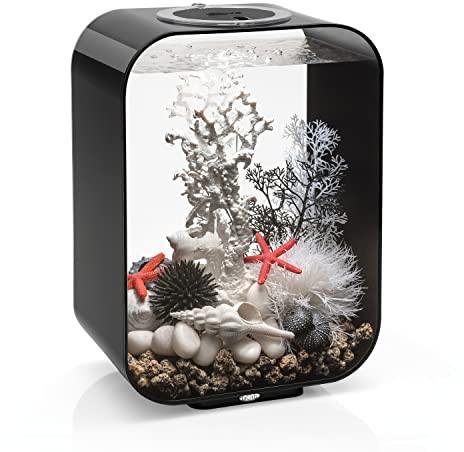 biOrb 72048 LIFE 15 LED schwarz - dekoratives 15 Liter Aquarium Komplett-Set mit Filtersystem, LED-Beleuchtung und Keramik-Bodengrund aus robustem Acryl-Glas