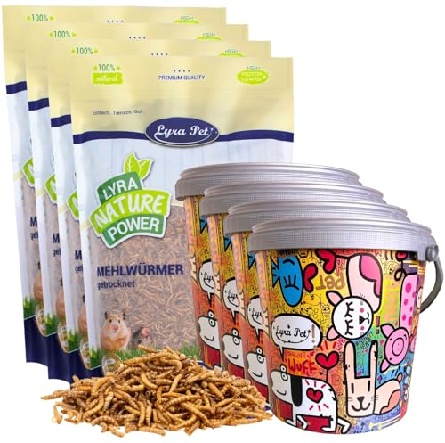 Lyra Pet® 4 x 10 litres de vers de Farine séchés Dans un seau Design de 10 L | Source Riche en protéines Pour Insectivores | Nourriture Pour oiseaux, Reptiles, amphibiens & poissons