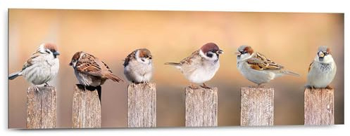 REINDERS Wandbild, Vogelfamilie, Schlafzimmer, Bilder, Wanddeko, Room Decor, MDF, Braun, 30 x 90