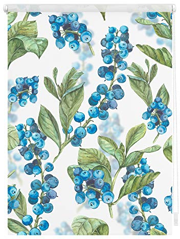 Lichtblick Klemmfix Verdunklungs-Rollo mit Motiv, ohne Bohren, Blickdicht, Seitenzugrollo, Made in Germany, Heidelbeere - Blau Grün 80 x 150 cm