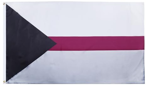 AZ FLAG Drapeau Demisexualité 90x60 cm Demisexuel Polyester 100D 2 Œillets | Usage intérieur et extérieur Drapeau décoratif coutures doubles et bords renforcés avec œillets métalliques