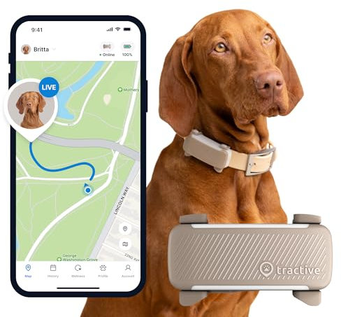 Tractive GPS Tracker Hund | 2025 Edition | Live-Ortung | Weglaufalarm | Aktivitätstracking | Gesundheitswarnungen | Bellverhalten | Empfohlen von Martin Rütter (Braun)