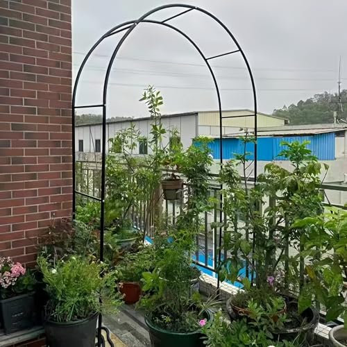 Romántico pabellón de jardín con arco de rosas para plantas trepadoras y verduras